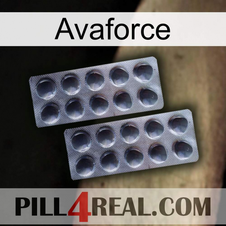 Avaforce 31